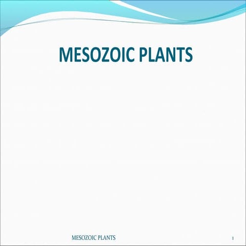Mesozoic plants | PPT