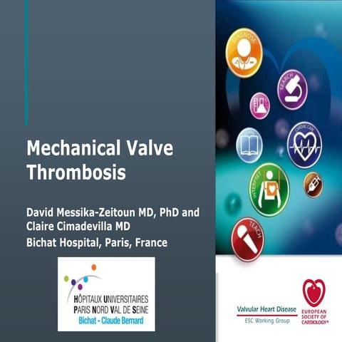 Mechanical Valve Thrombosis