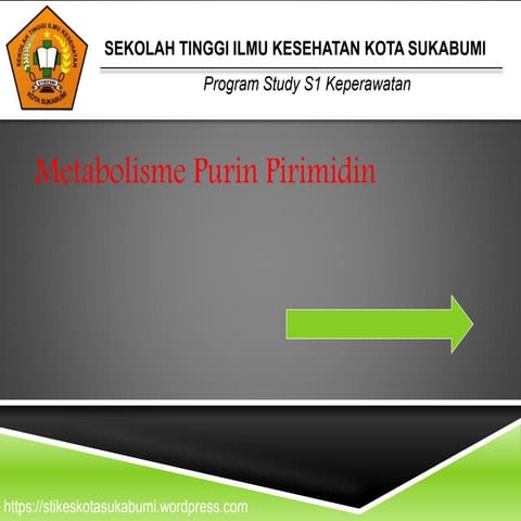 Metabolisme Purin Pirimidin