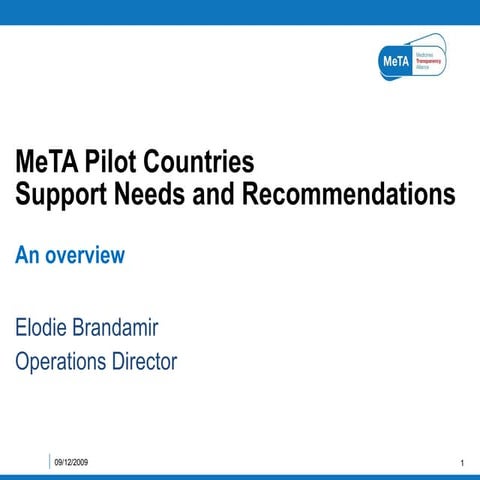 MeTA pilot countries support needs and recommendations