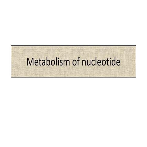 metab. of nucleotide 1.pptx