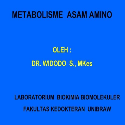 Metab as amino bs 1 | PPT