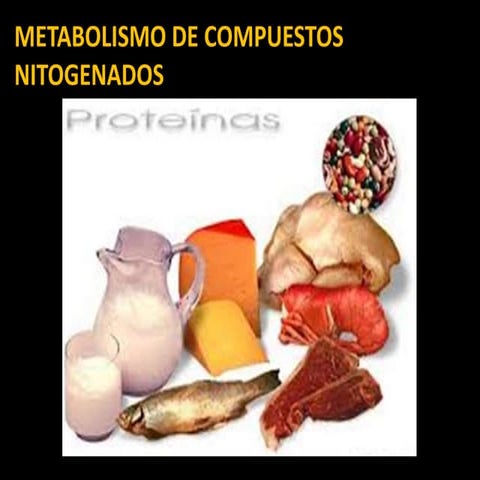 Metabilismo de compuestos nitrogenados VISITA EL BLOG ZONA DE ESTUDIO ODONTOLOGICO