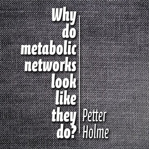 Why do metabolic networks look like they do?