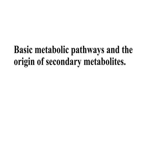 METABOLIC PATHWAYS FOR PHYTOCHEMICAL  SYTHESIS.pdf