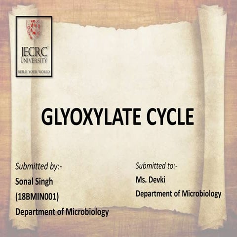 Glyoxylate Cycle
