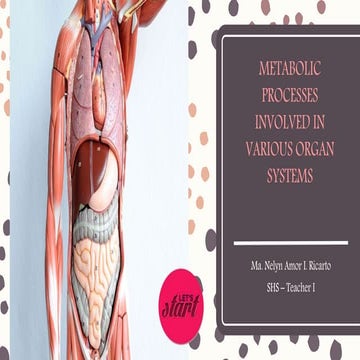 Earth and Life Science - Grade 11 (Organ Systems)