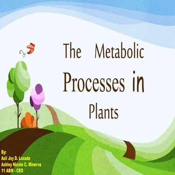 Metabolic process plants