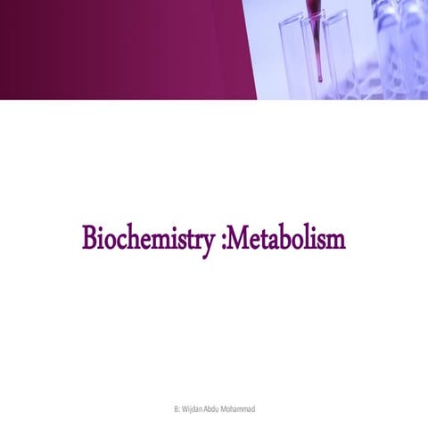 Metabolism