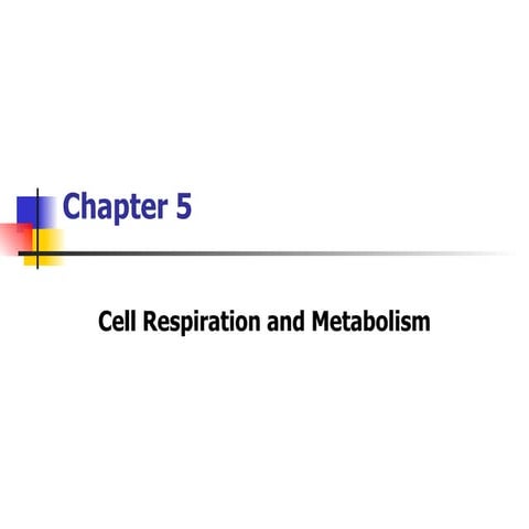 Metabolism