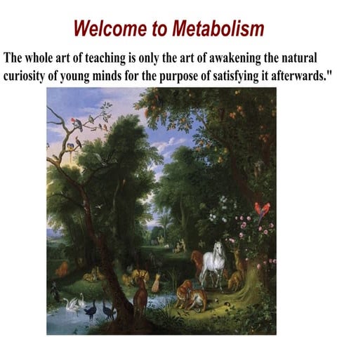Metabolism intro & bioenergetics