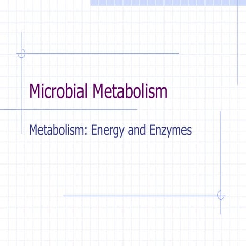 Metabolism a