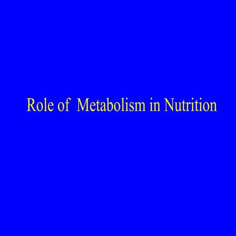 Metabolism and diet