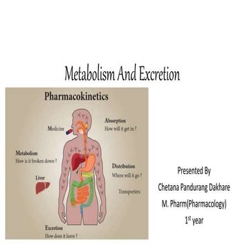 Metabolism and Excretion.pptx