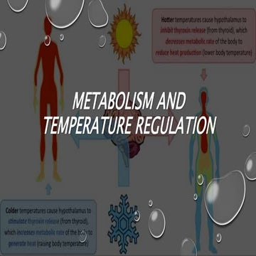 Metabolism and Temperature Regulation.pptx