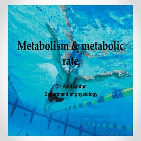 metabolismb.pptx