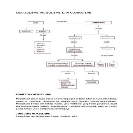 METABOLISME | PPTX