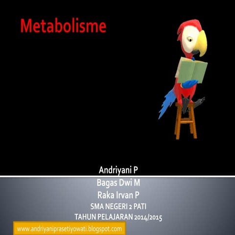 Metabolisme andriyani shs 2 pati