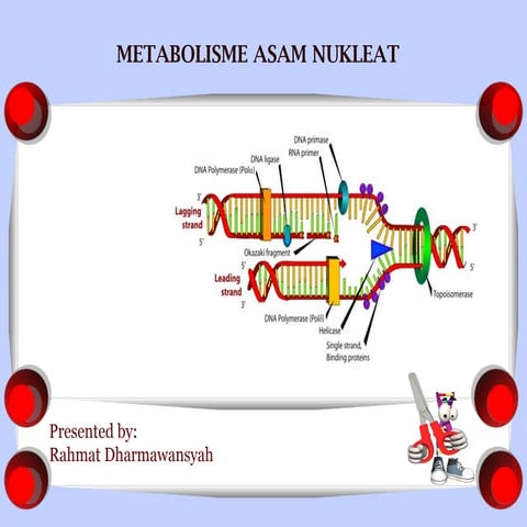 Metabolisme asam nukleat (nucleic acid metabolism)