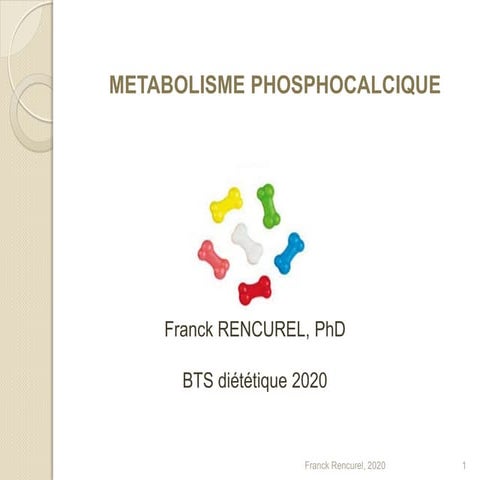 BTS diététique Metabolisme  phosphocalcique