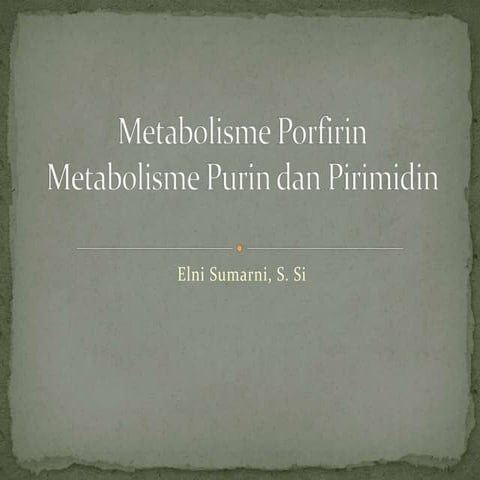 Metabolisme porfirin, purin, dan pirimidin