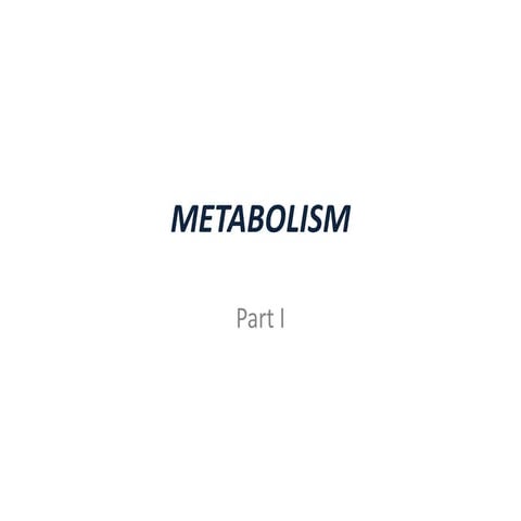 Metabolism 1