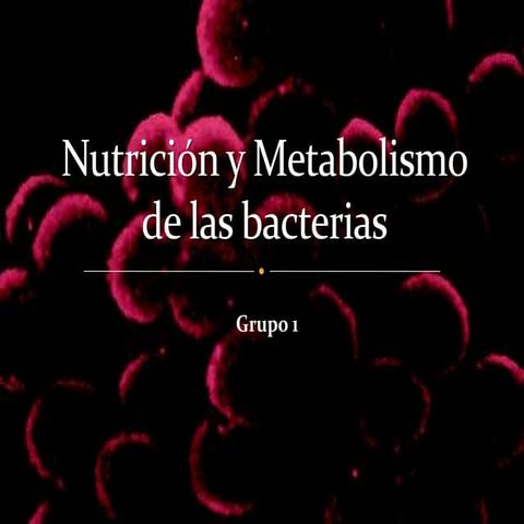 Metabolismo y nutrición de las bacterias
