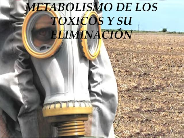 El estrés y dieta cetogénica cancer