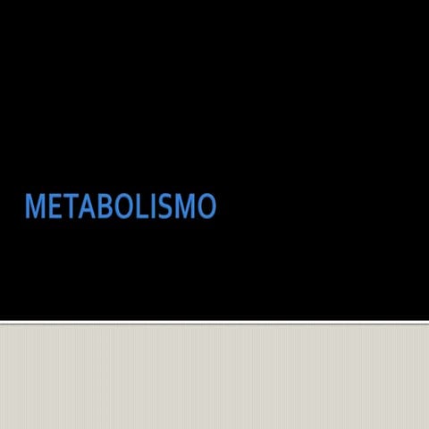 Metabolismo