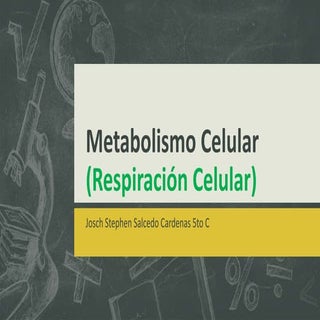 Metabolismo celular