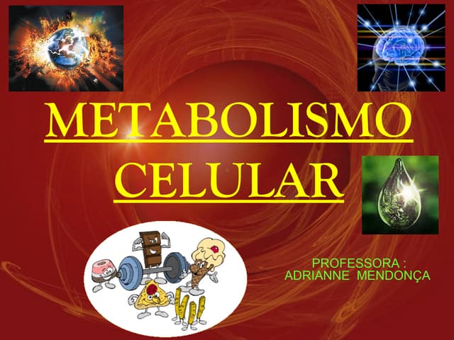 Metabolismo celular (completo)