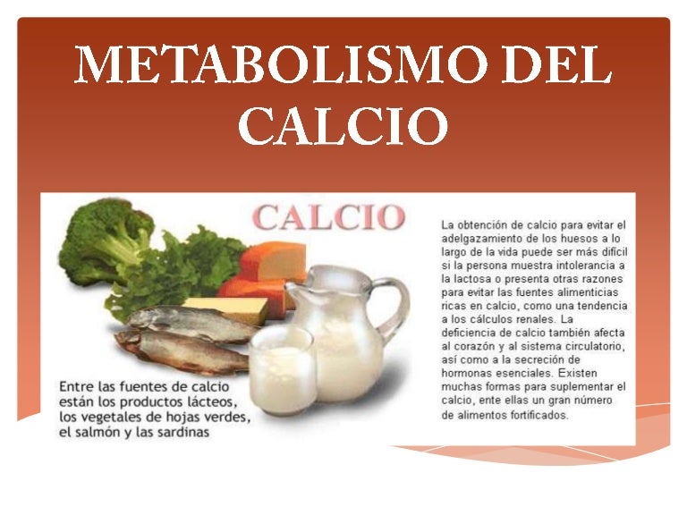 10 cosas sobre ralentizar metabolismo