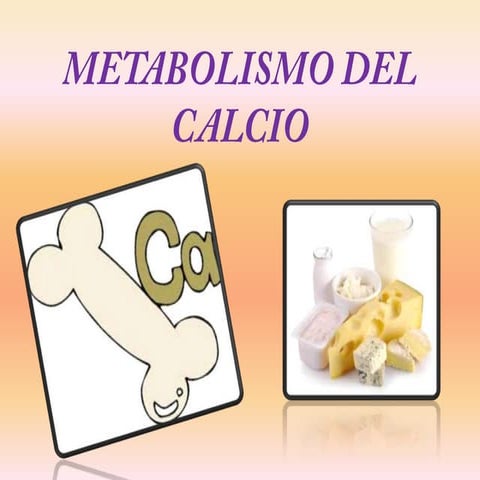 Metabolismo del calcio majo