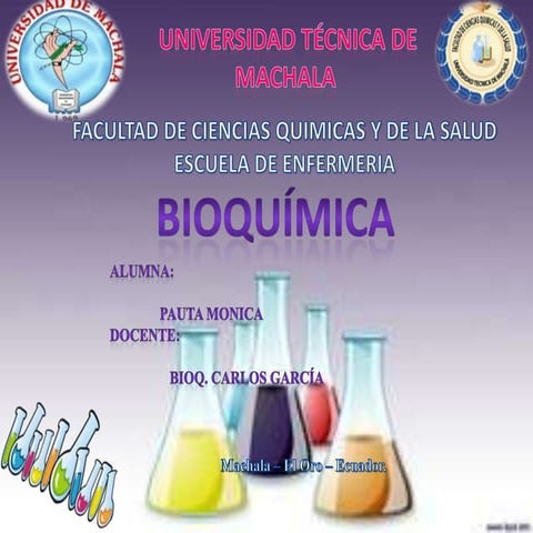 Metabolismo del fosforo2