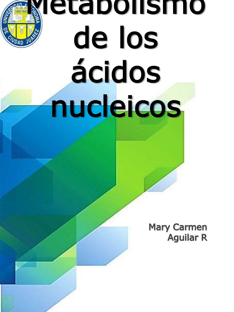 Metabolismo de los ácidos nucleicos Metabolismo de los ácidos nucleicos