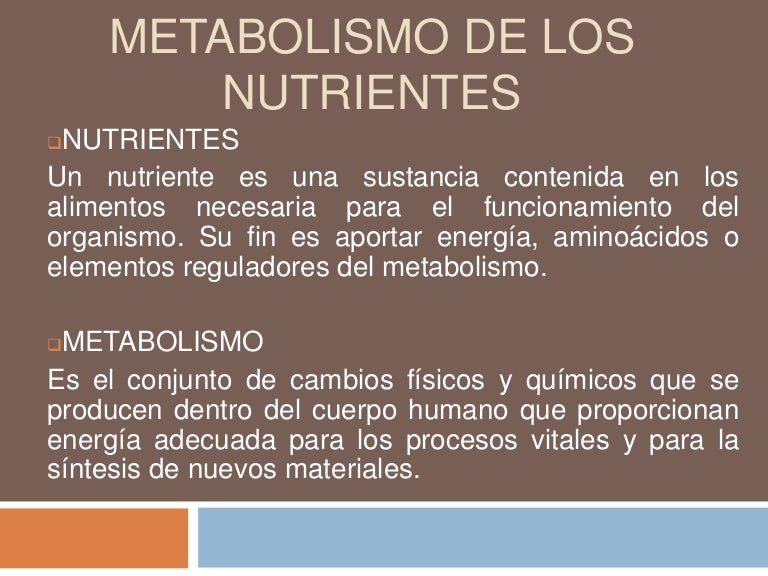 La gente también piden esquema metabolismo celular