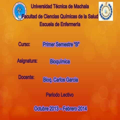 Metabolismo energético