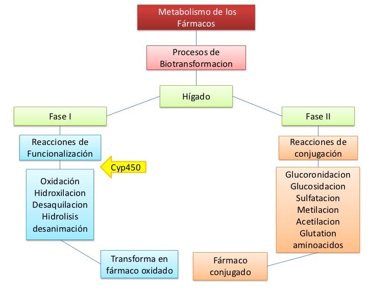 pirámide de la dieta mediterránea reseñas