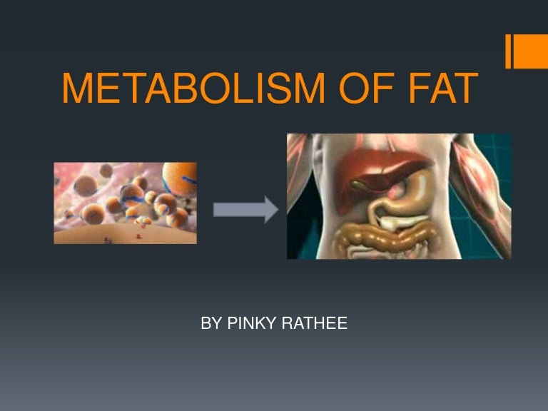 Metabolism of fat