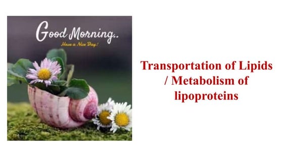 Metabolism of  lipoproteins & its disorders(Chylomicron & VLDL & LDL).pptx