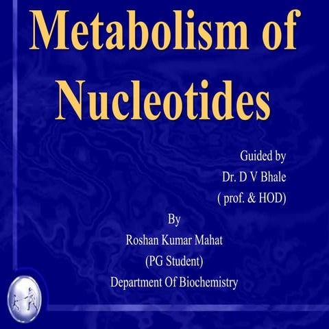 Metabolism of nucleotides