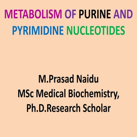 Metabolism of nucleotides new