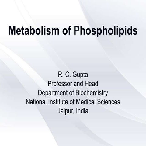 Metabolism of phospholipids