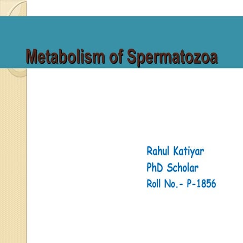 Metabolism of spermatozoa 