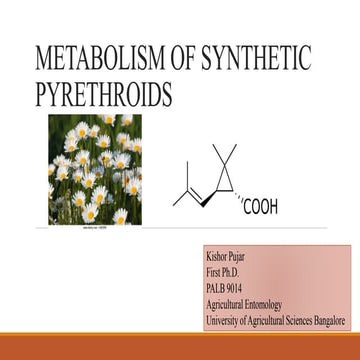 Metabolism of synthetic pyrethroids