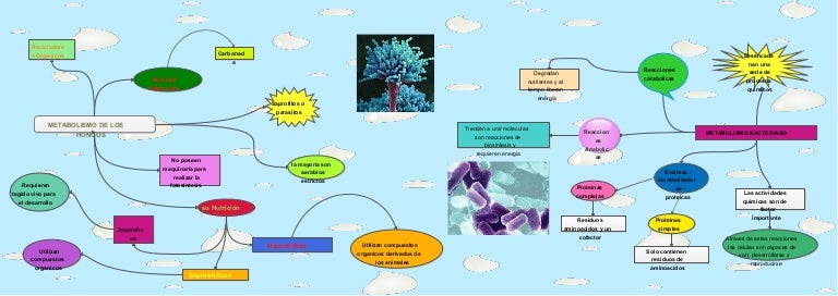 crema antiarrugas edad recomendada - ¿Qué es?