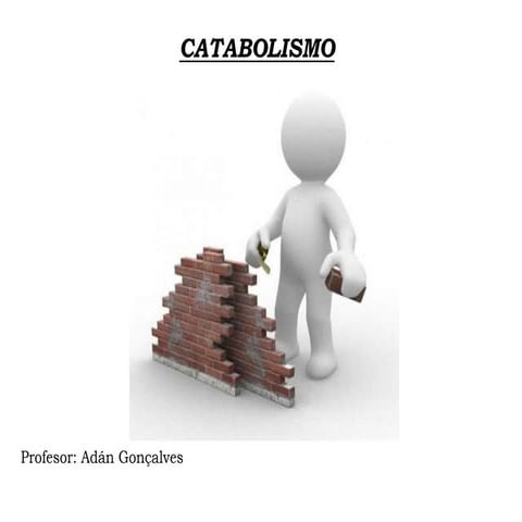Metabolismo ii catabolismo