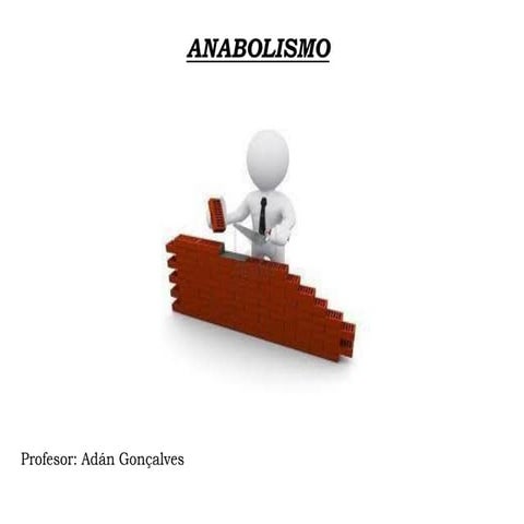 Metabolismo iii anabolismo
