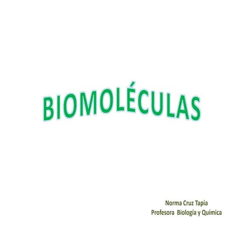 Metabolismo iº medio 2013