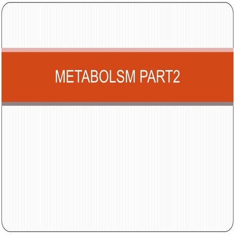 M E T A B O L I S M  P A R T2